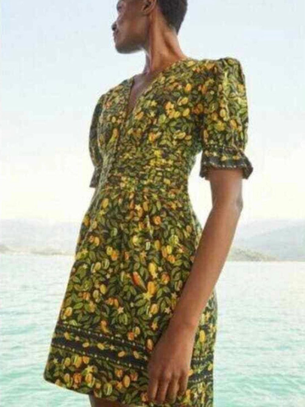 NWOT Farm Rio Star Fruit Linen Dress SZ M